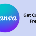 Bingotingo canva